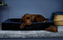 Afbeelding in Gallerij weergave laden, BIA bed overtrek - Dog Guardian