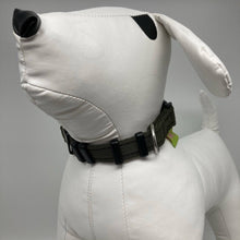 Afbeelding in Gallerij weergave laden, DogTools halsband L - Dog Guardian