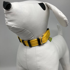 DogTools halsband XL - Dog Guardian