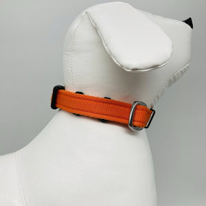 DogTools halsband XL - Dog Guardian