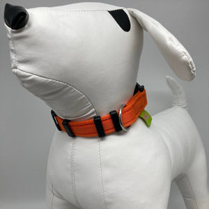 DogTools halsband - Dog Guardian