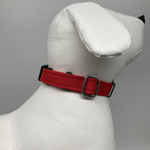 Afbeelding in Gallerij weergave laden, DogTools halsband M - Dog Guardian