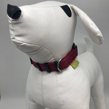 Afbeelding in Gallerij weergave laden, DogTools halsband XL - Dog Guardian