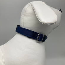 Afbeelding in Gallerij weergave laden, DogTools halsband M - Dog Guardian